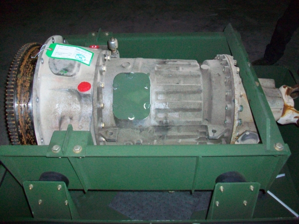 29500262