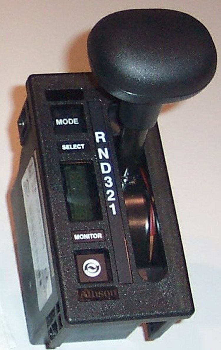 29541954