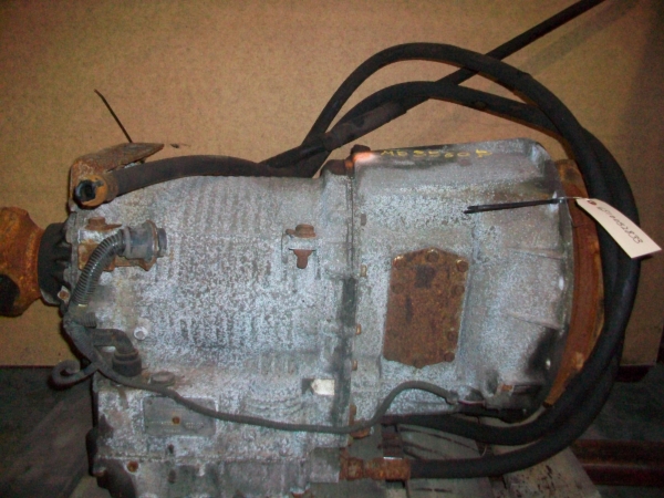 29522582