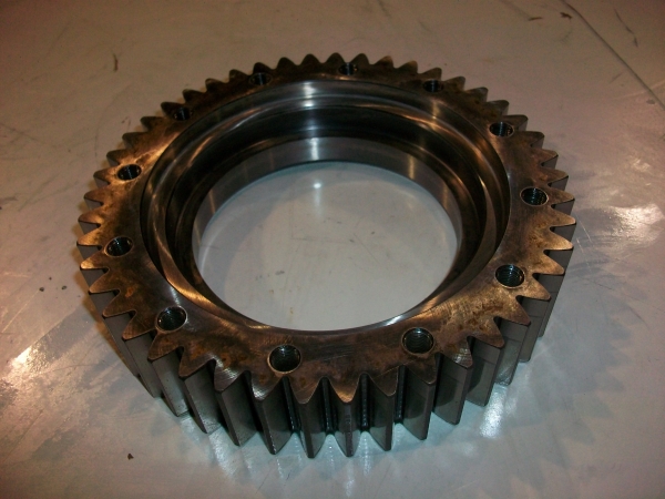 29503632