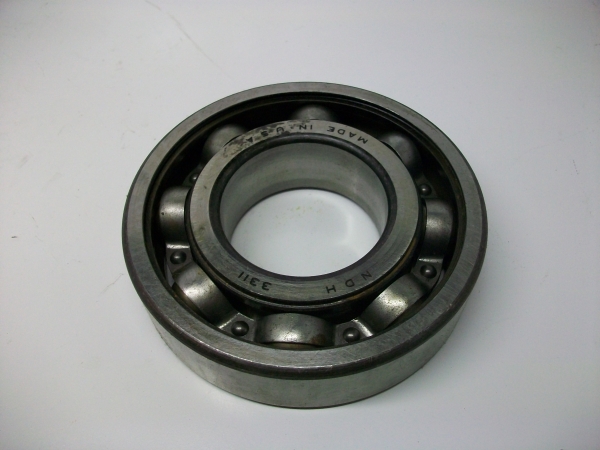 29505559