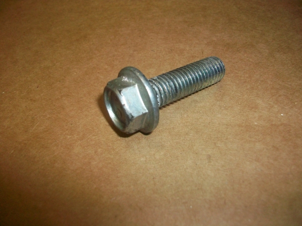 29515620